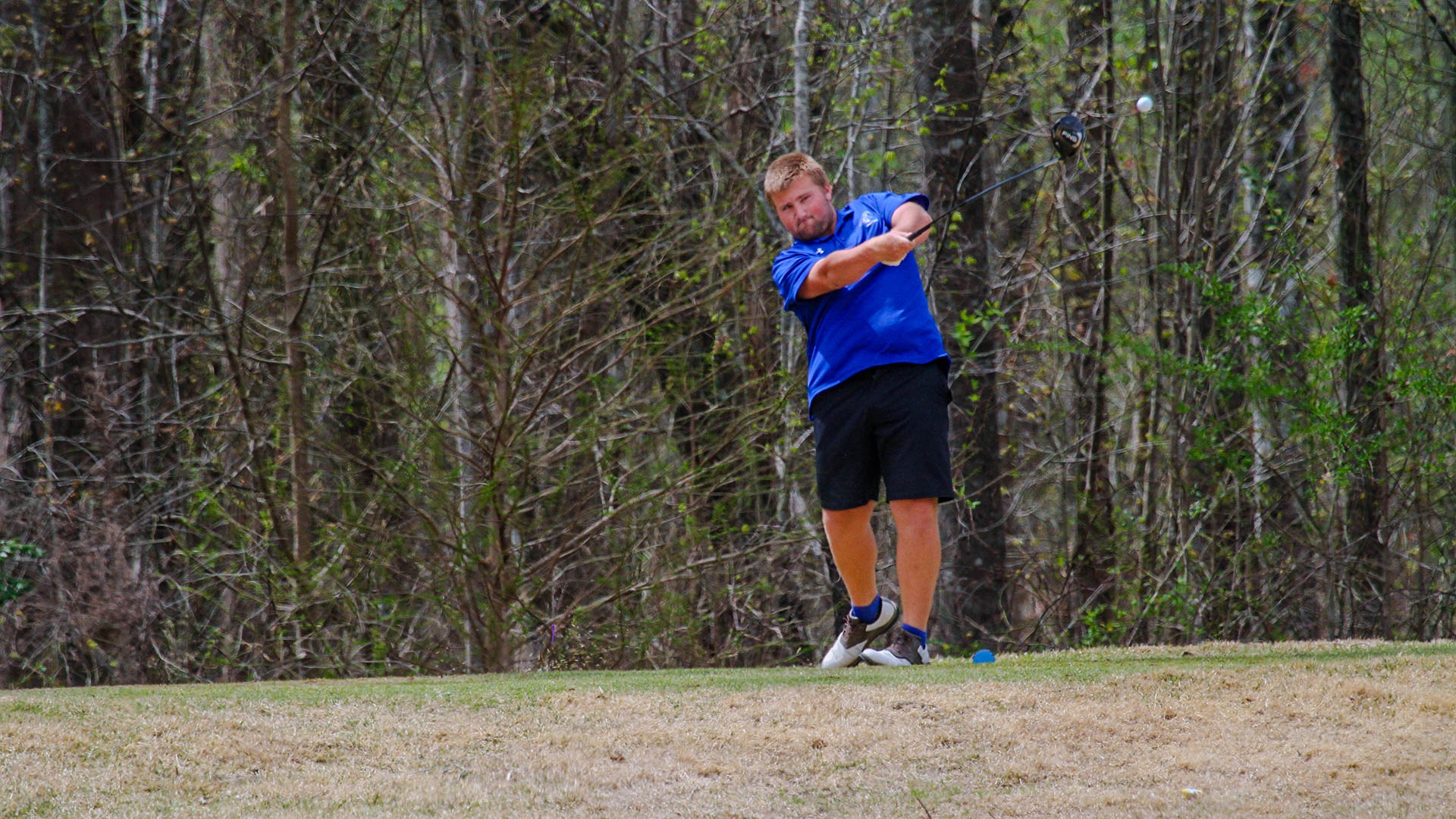 Walter_Bailey_Beechwood_3-25