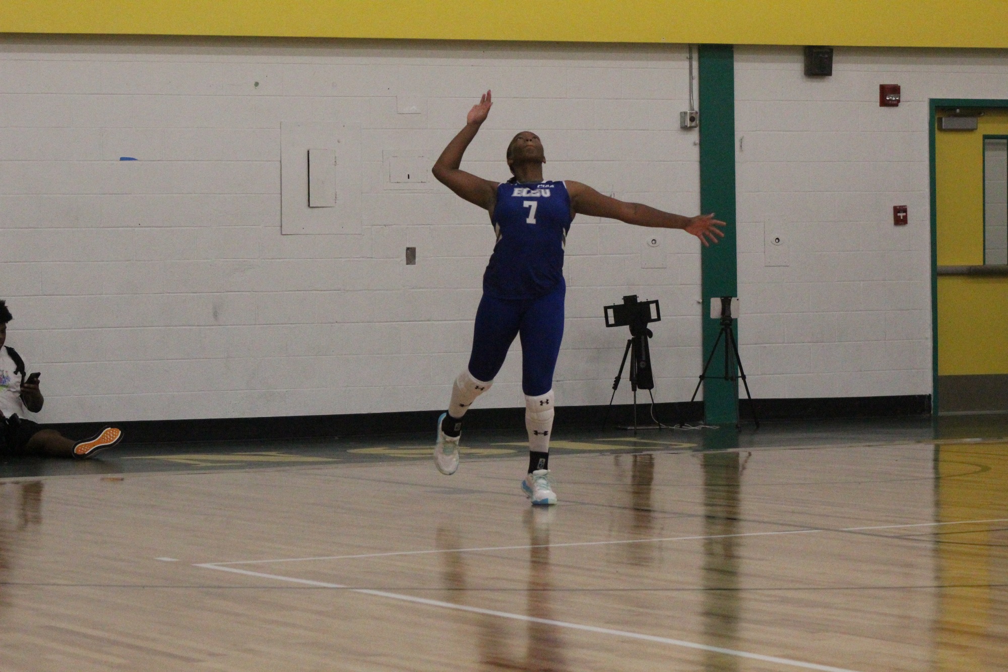The Elizabeth City State Vikings faced the Norfolk State Spartans. 