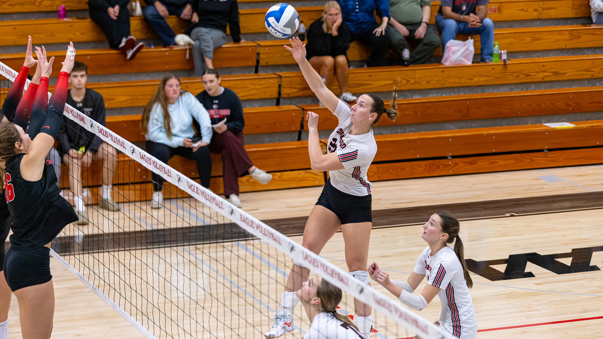 Women's Volleyball vs. Carthage (Steve Gotter, 9/15/26)