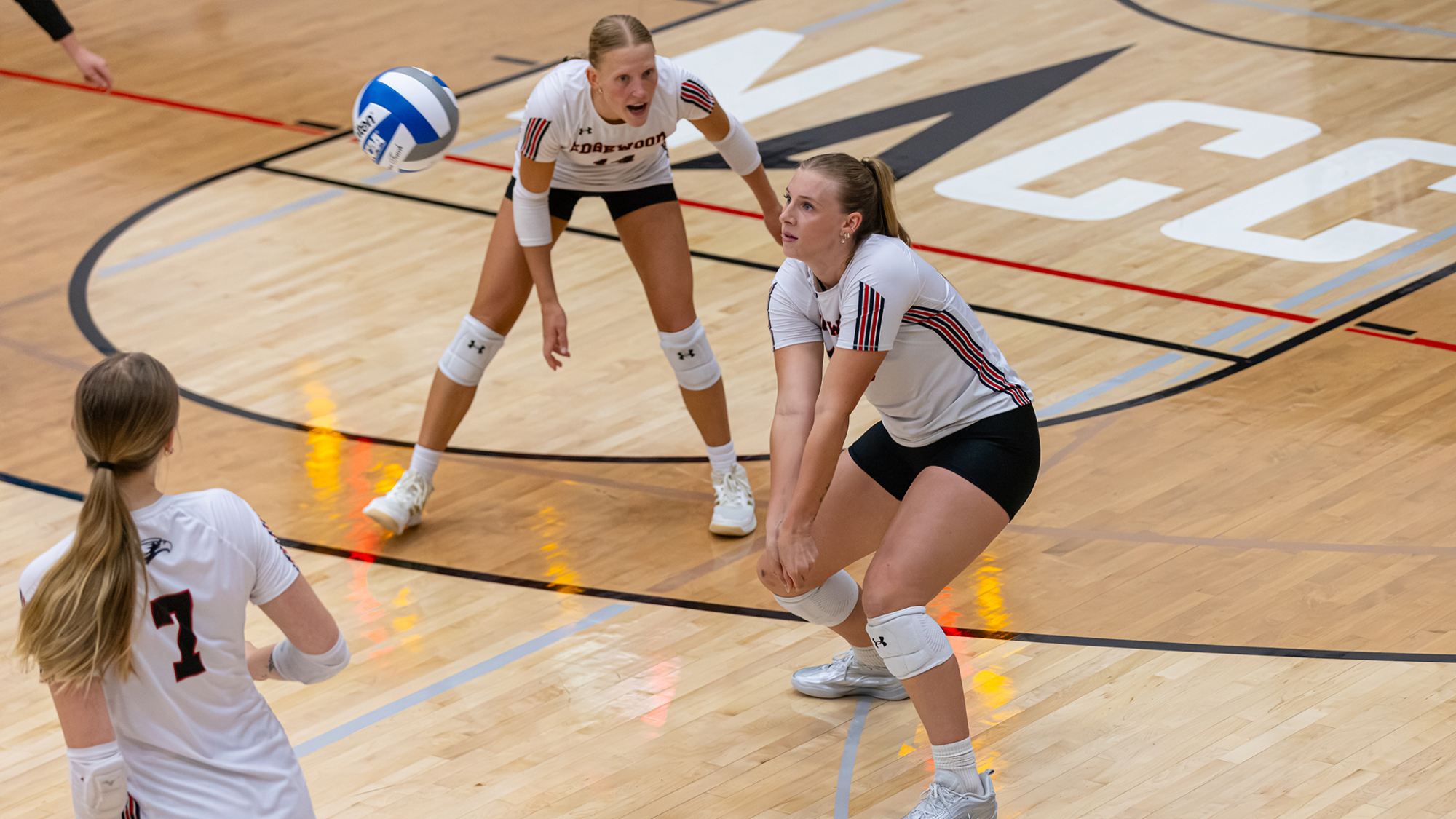 Women's Volleyball vs. Carthage (Steve Gotter, 9/15/26)