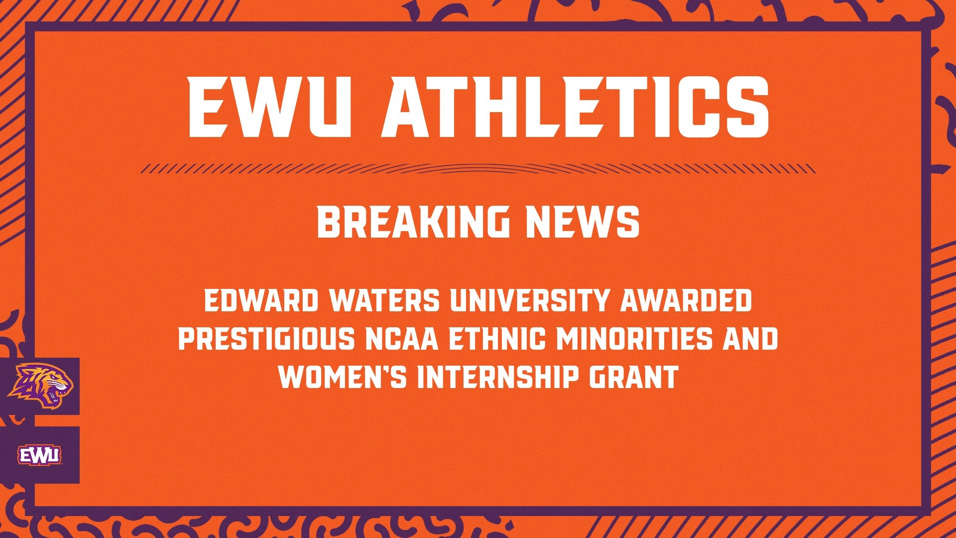 NCAA Ethnic Minorities Grant 