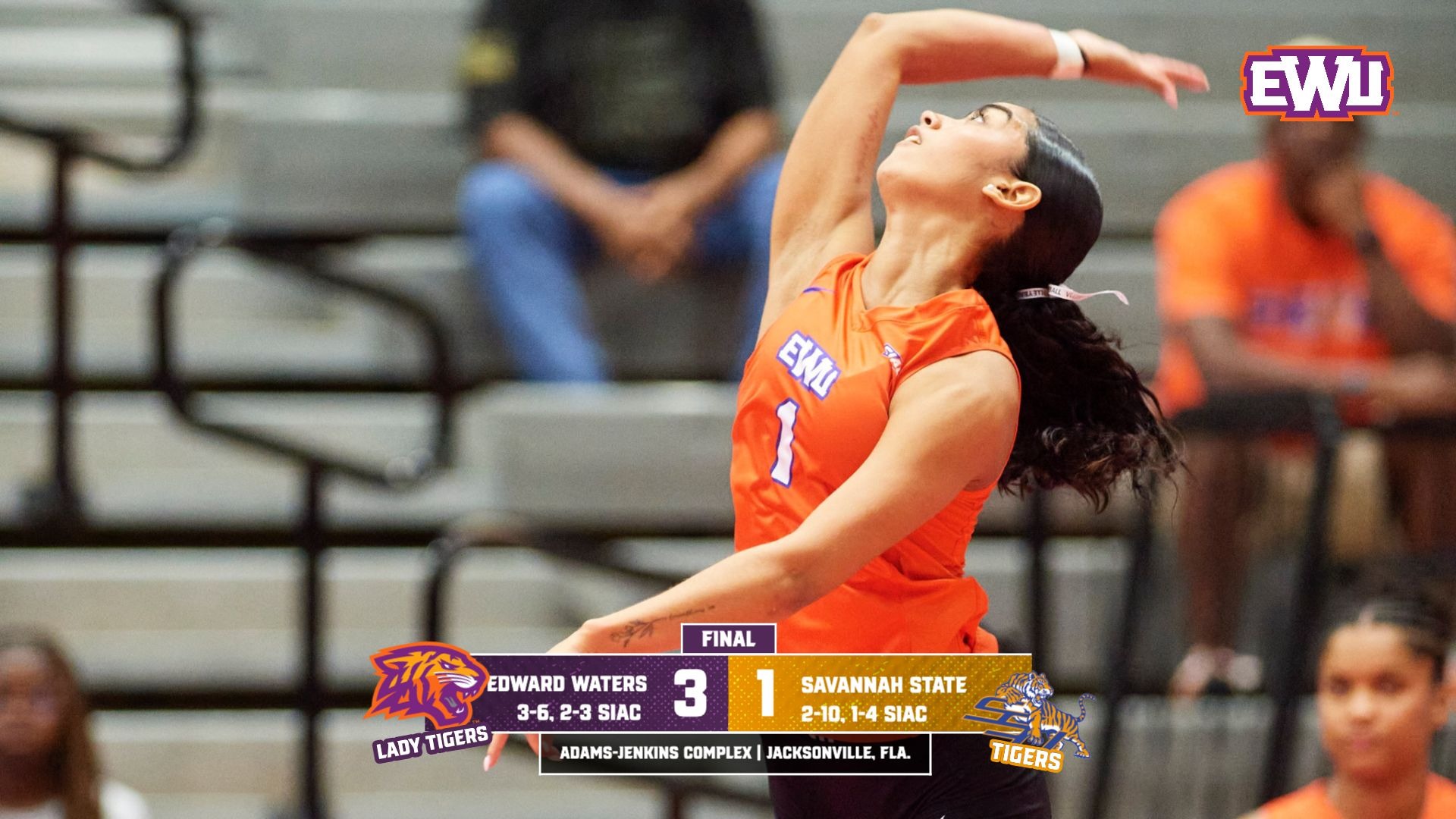 VA WVB vs SSU Final 