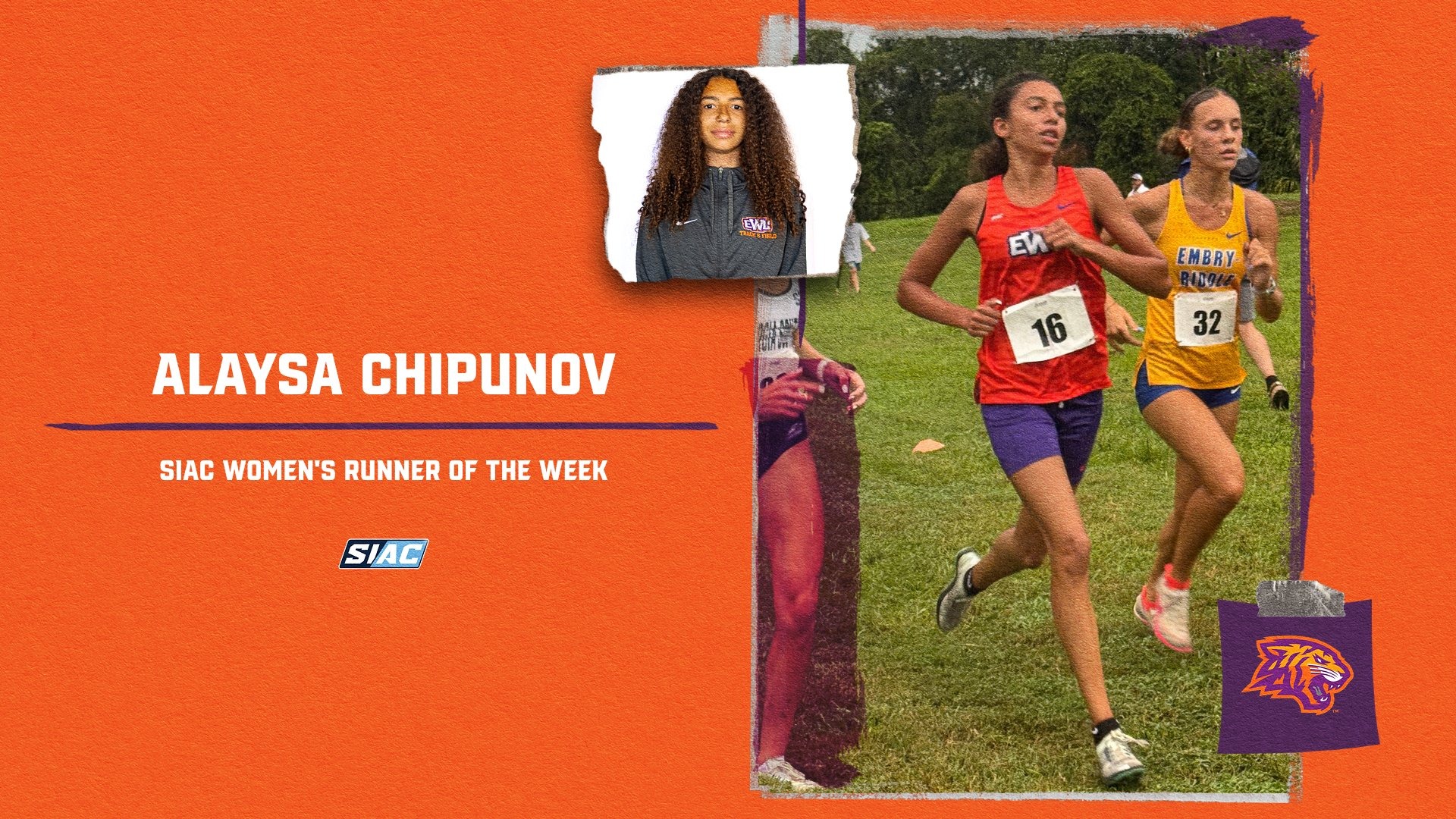A. Chipunov - WROW