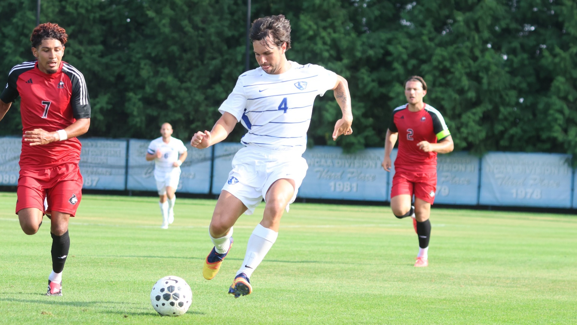 Miguel D'Amico action shot