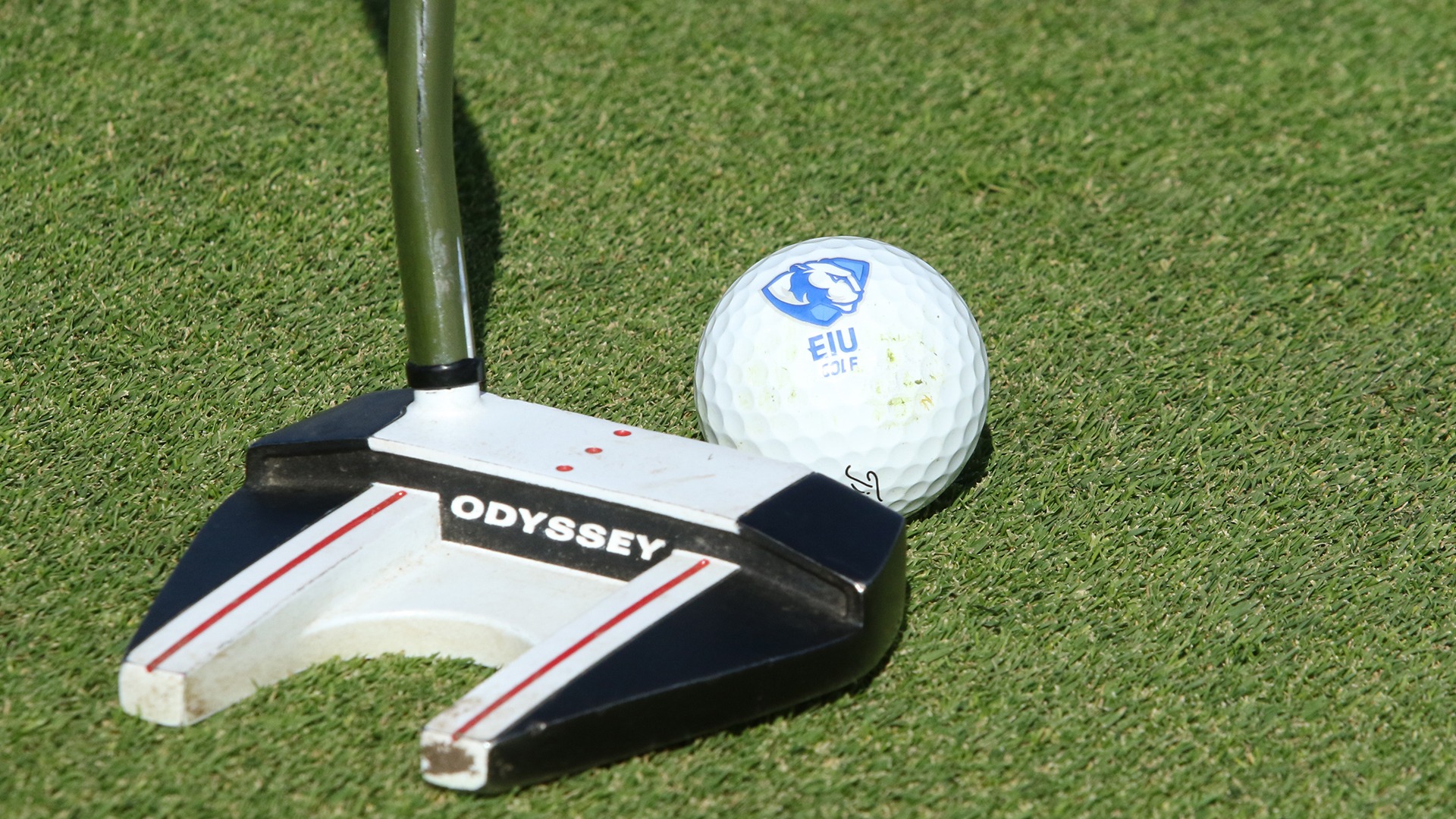 EIU Golf Ball and putter - generic graphic
