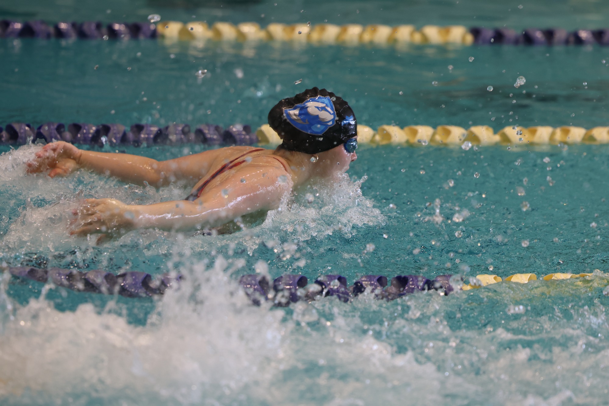 EIU vs. Illinois Swim Recap