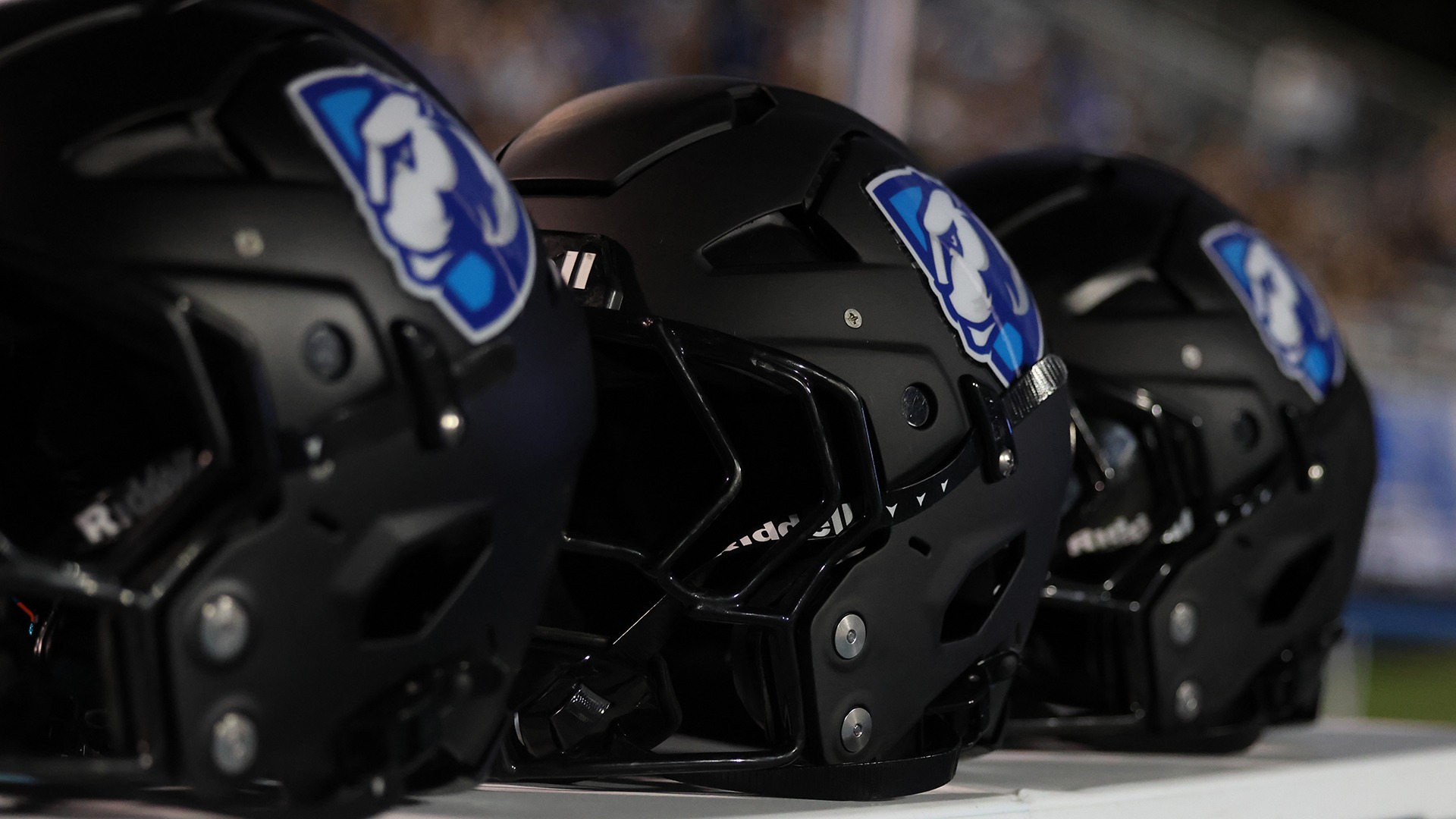 EIU Black Helmets Generic