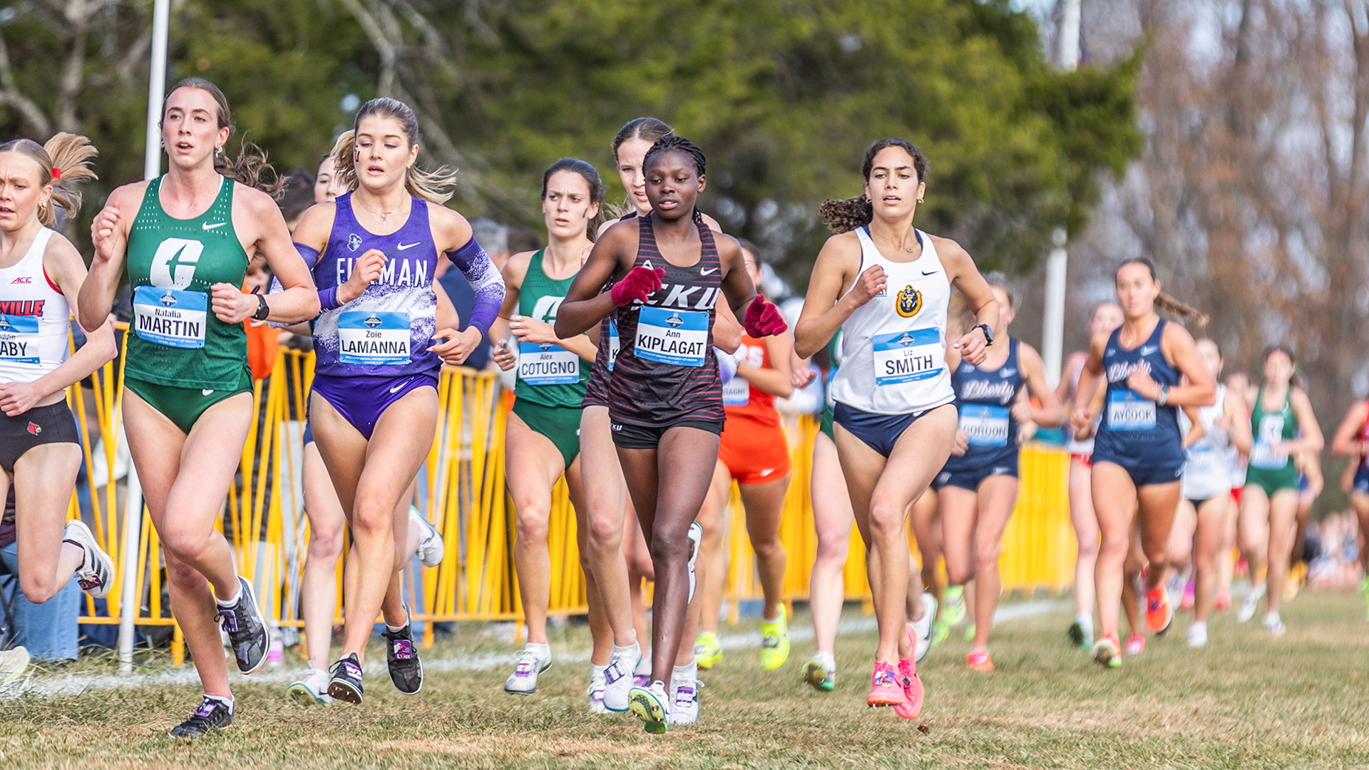 Ann Kiplagat