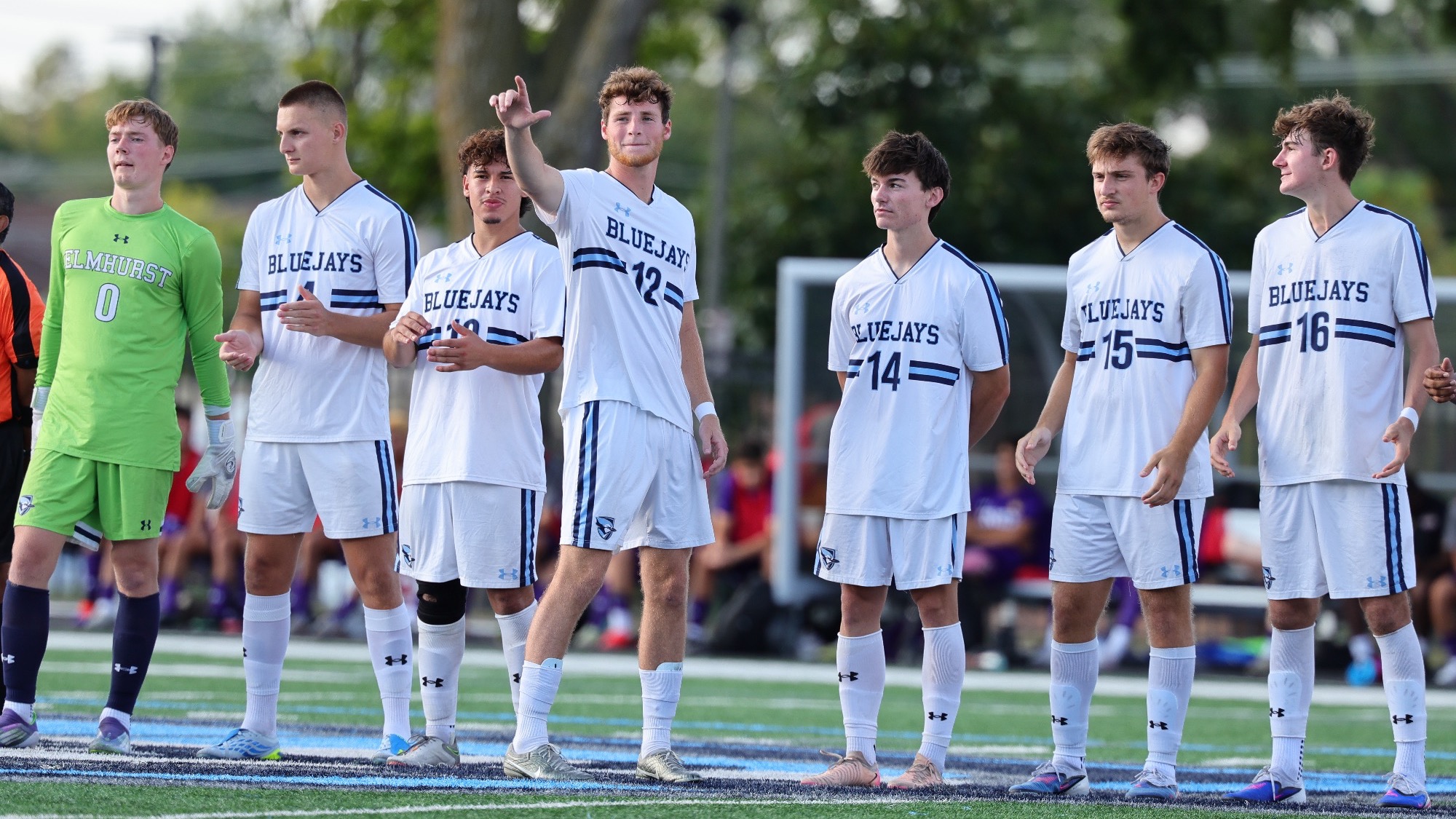 Wipke Line up