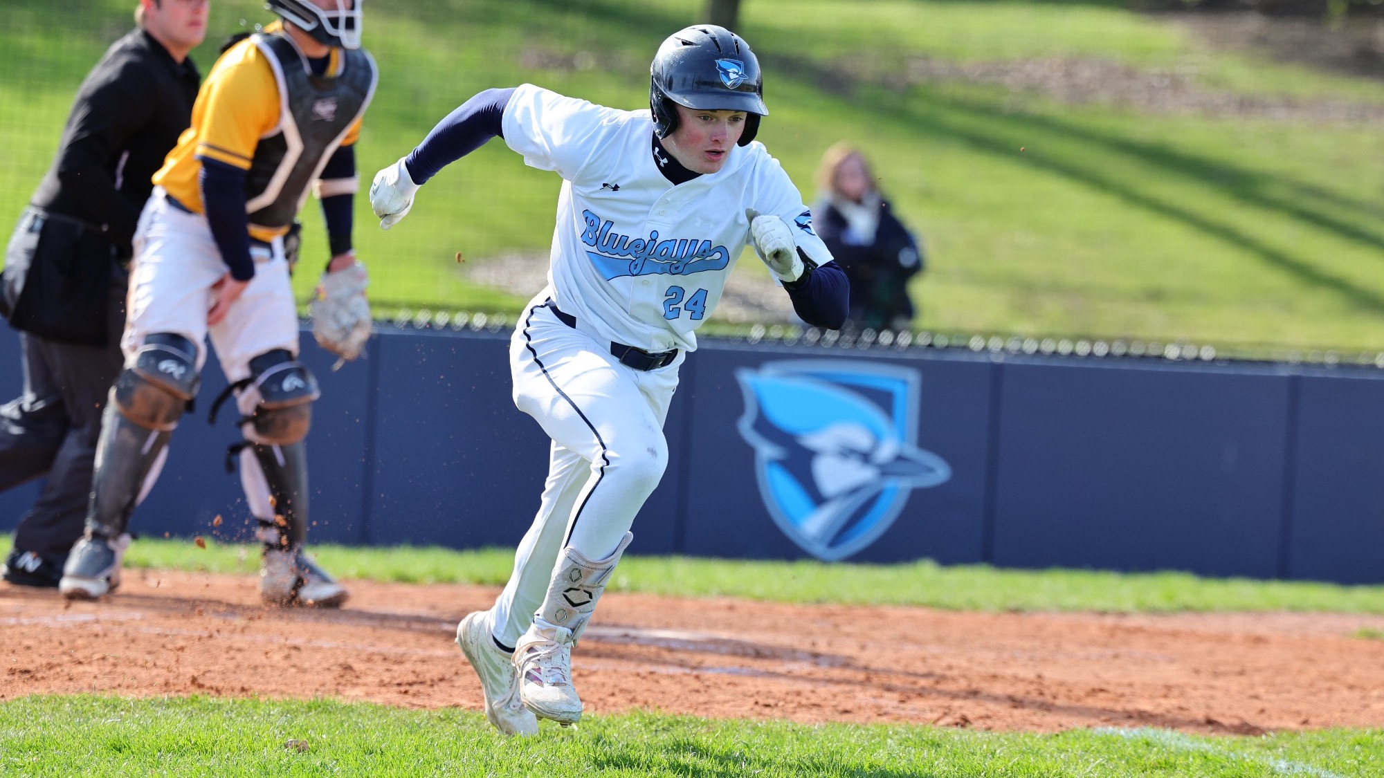 e. johnson vs dominican