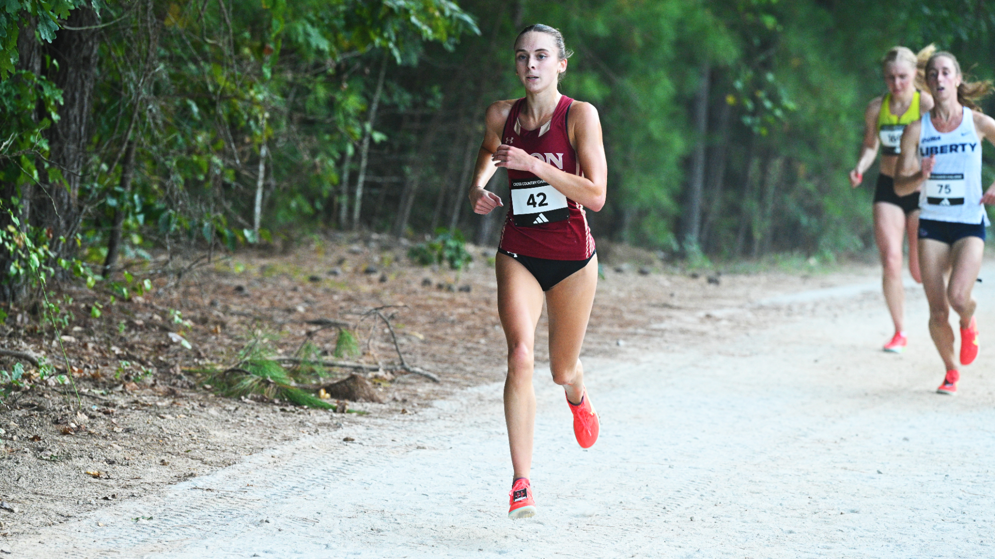 Cross Country: Abby Beville