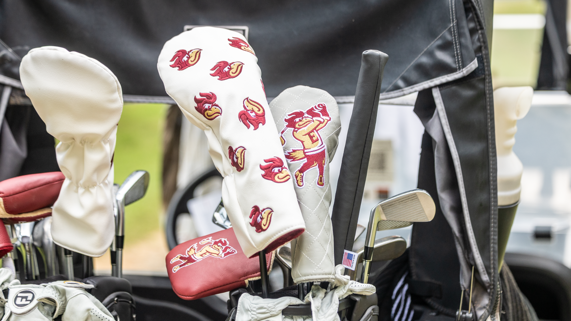 Men's Golf: Golf Club Covers