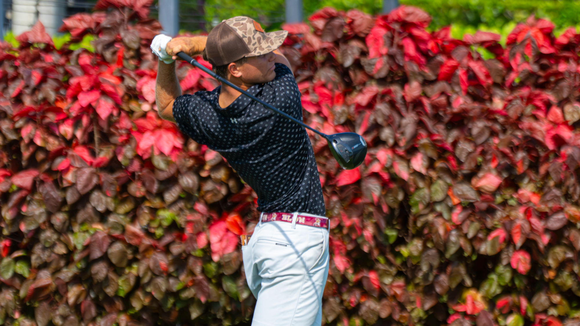 Men's Golf: Dylan Lewis