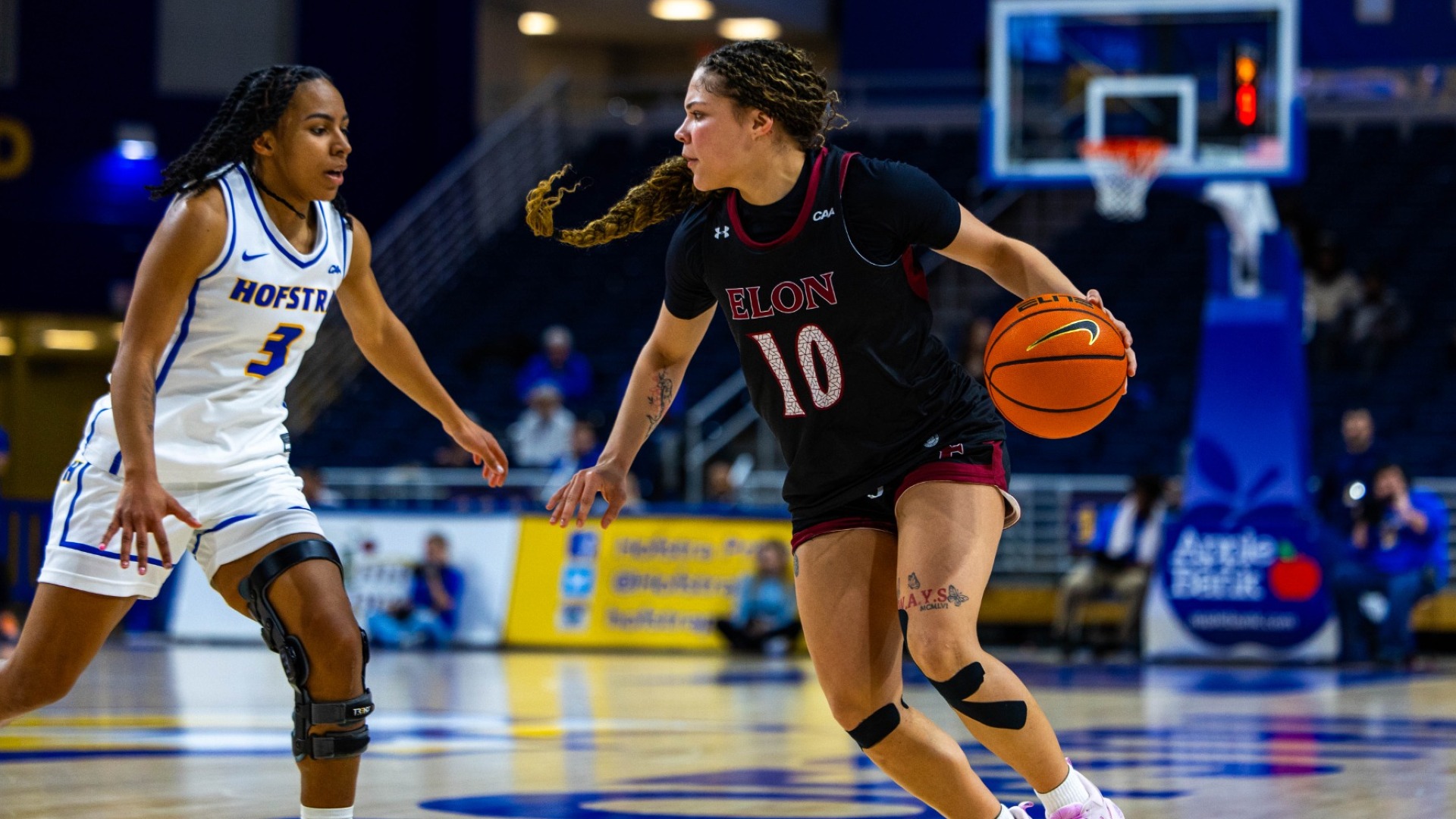 Kamryn Doty WBB at Hofstra