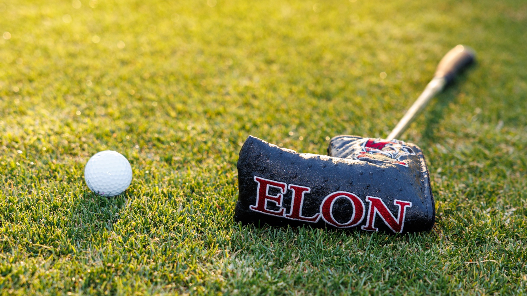 Men's & Women's Golf: Putter