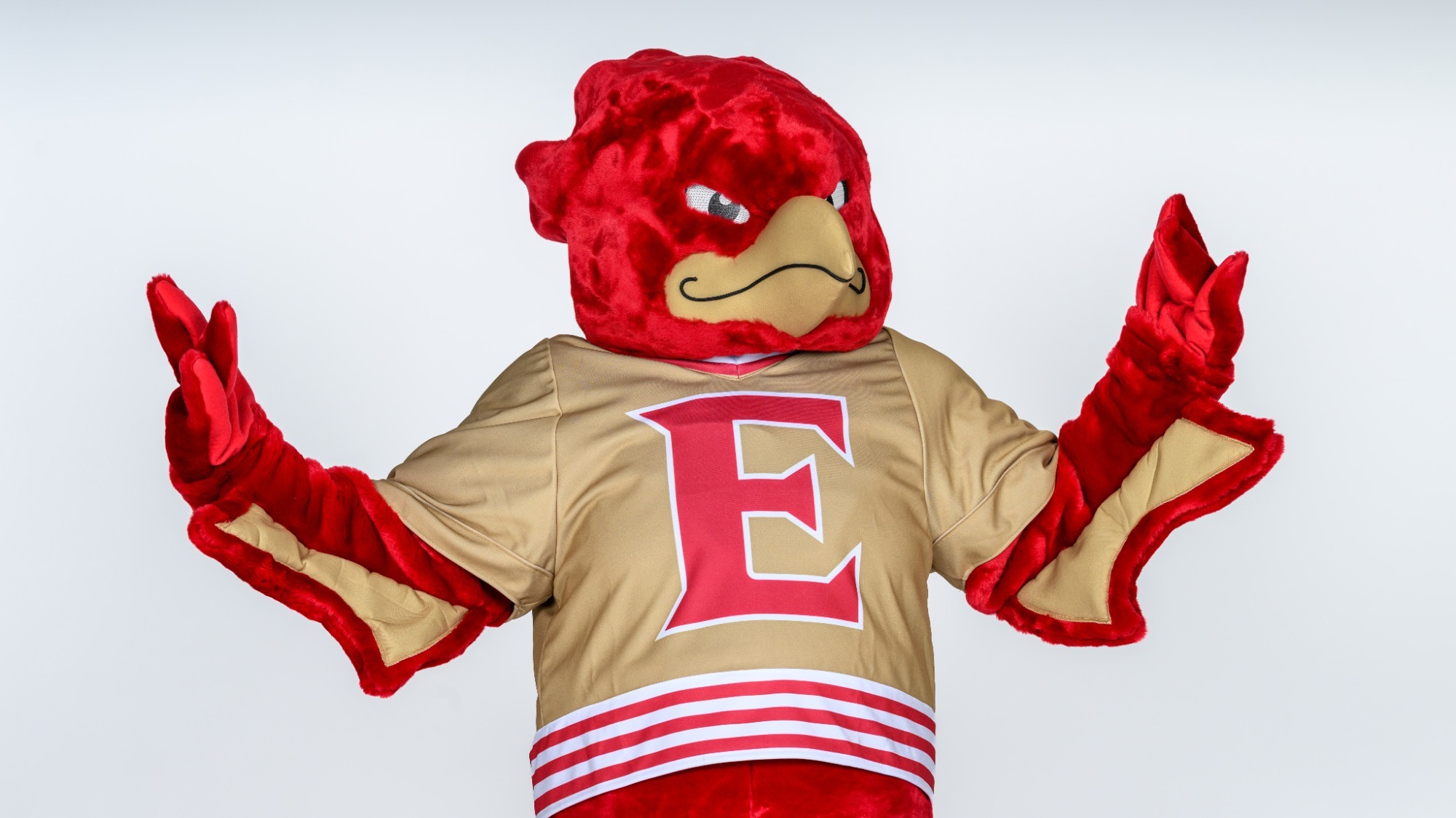 Athletics: Elon Phoenix Mascot