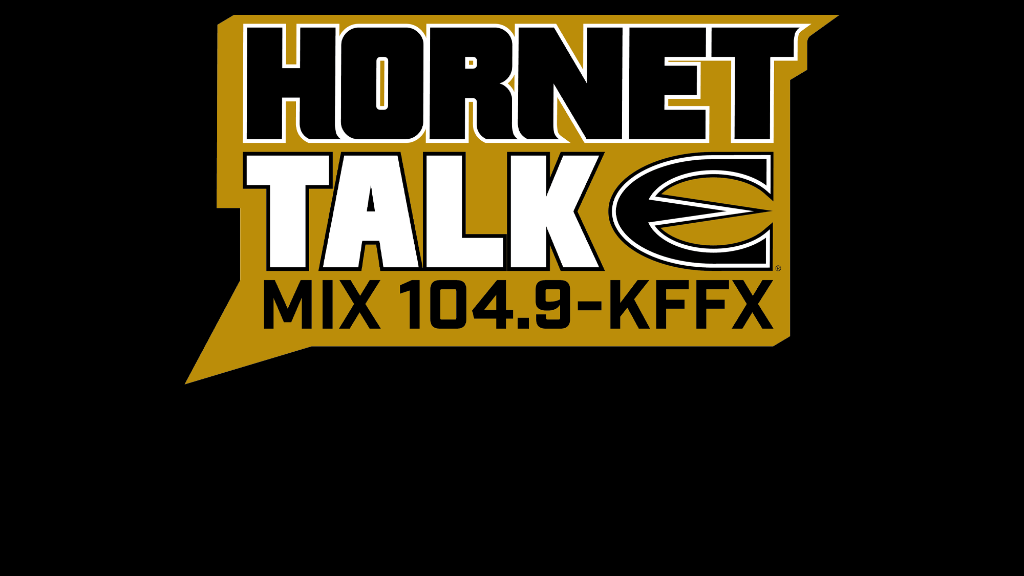 Hornet Talk Graphic for Web Story