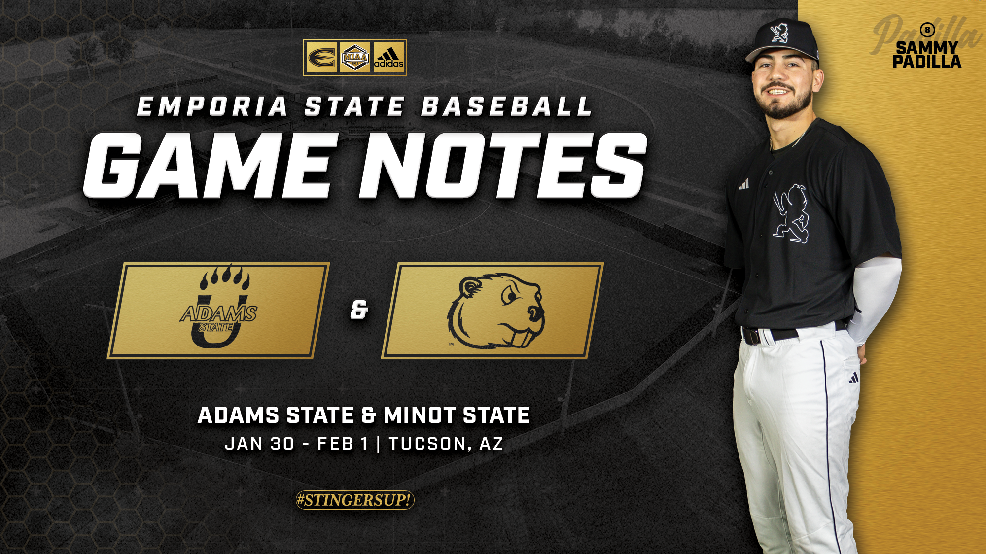 26 ESU BB Notes Graphic at Tucson