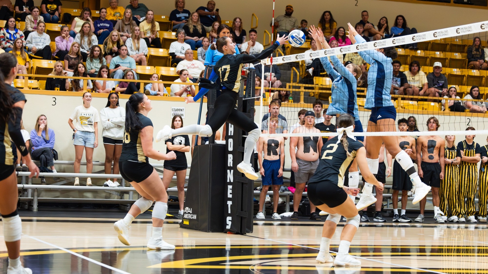 26 ESU VB Lavra vs WU