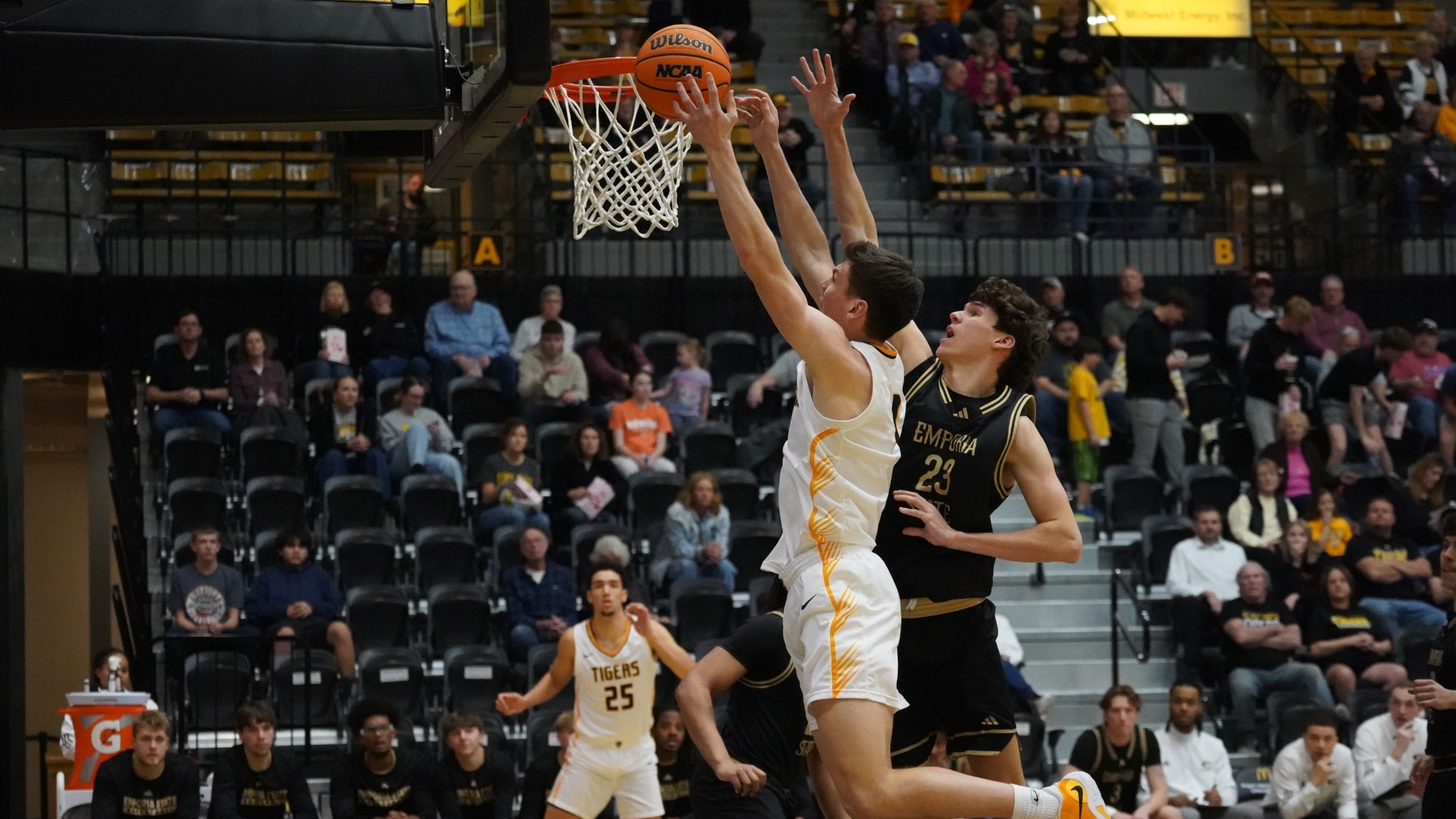 25-26 MBB Chris Harris at FHSU
