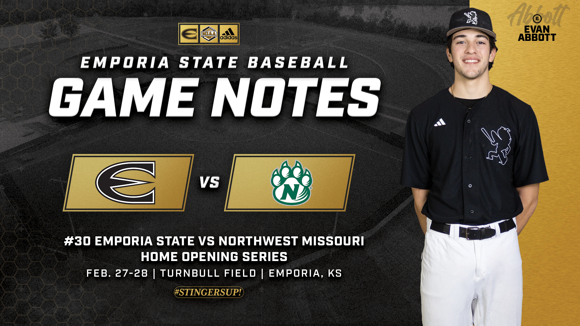26 BB Notes Graphic vs NW