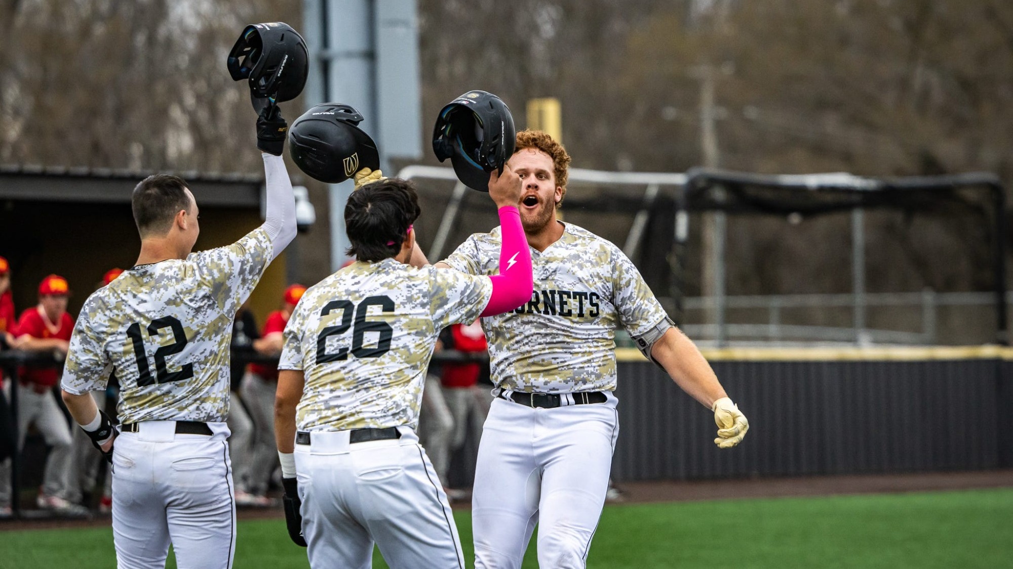 26 BB Steele HR Celebration