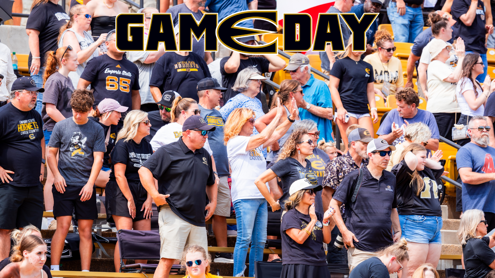 Hornet Football Game Day Graphic with crowd shot
