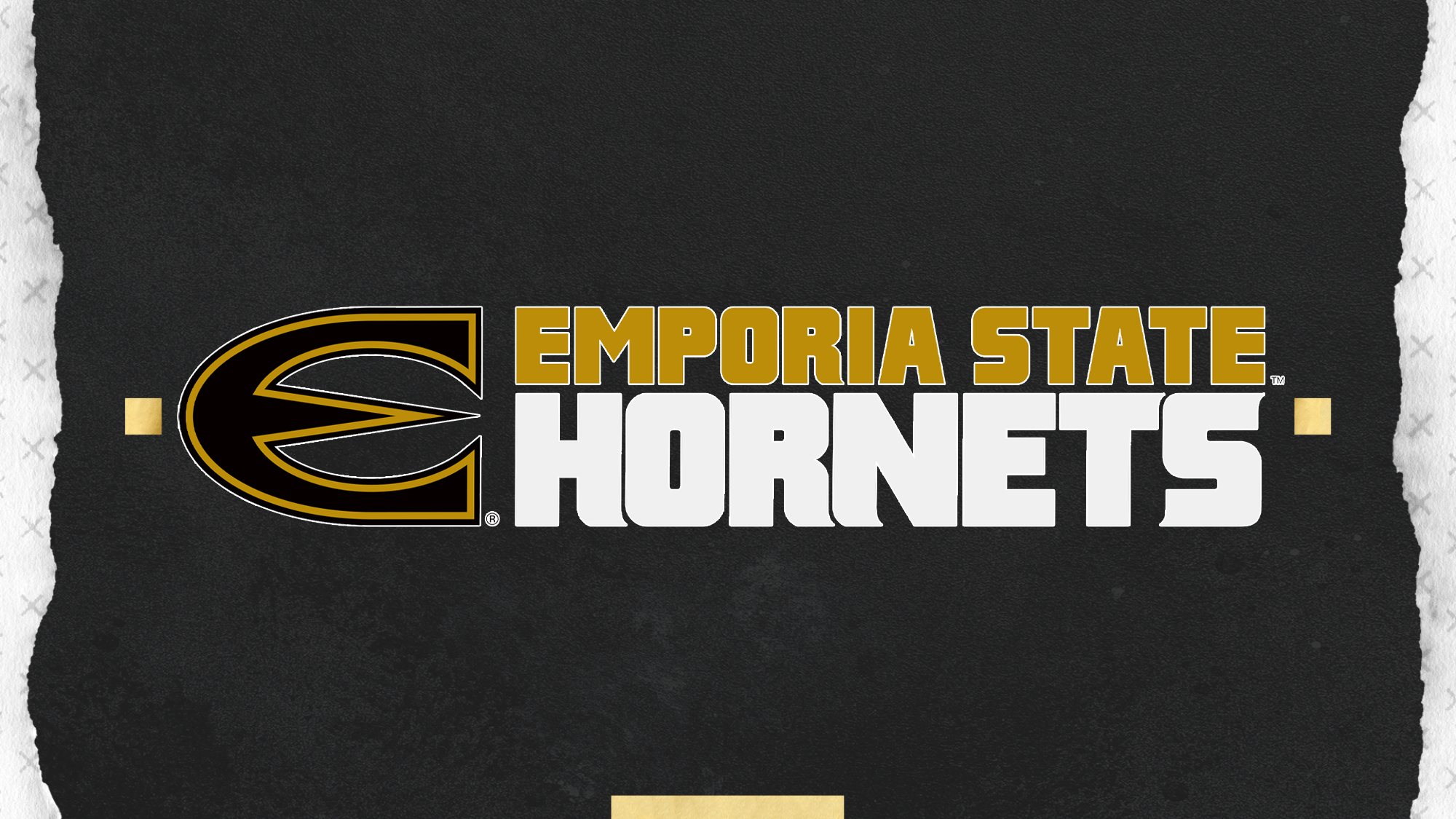 Power E with Emporia State Hornets graphic