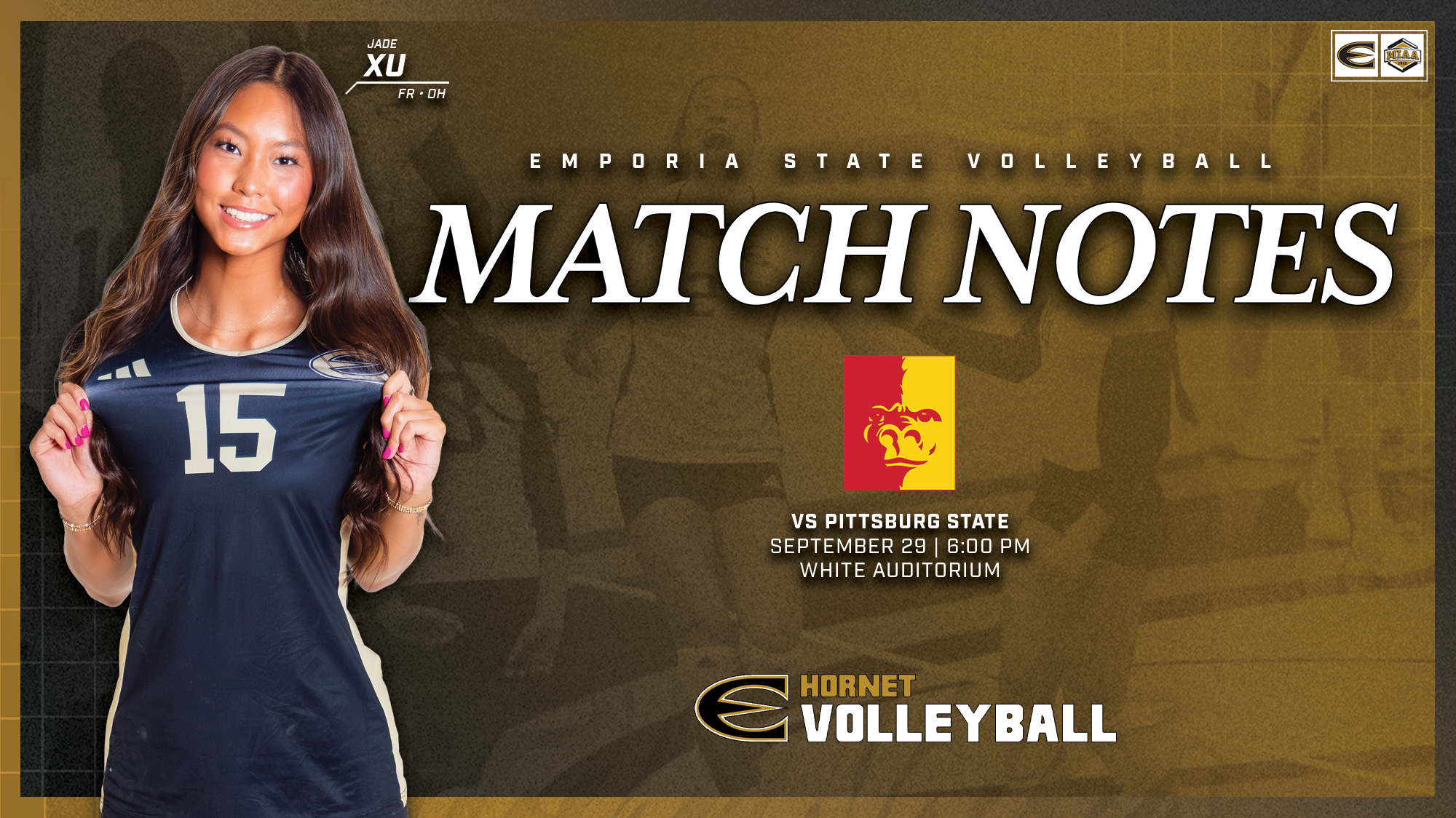 26 ESU VB Notes Graphic vs PSU