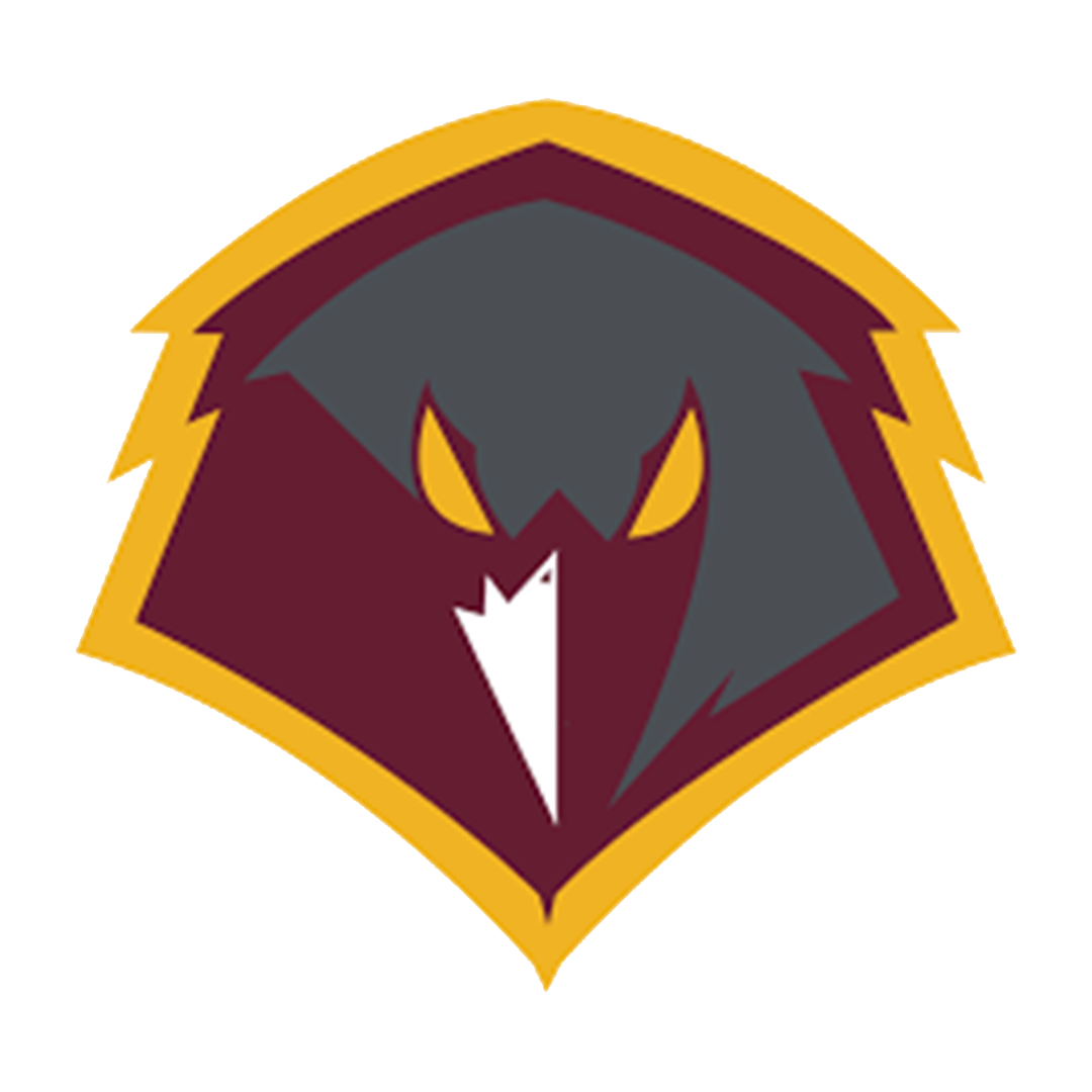 Opponent Logo