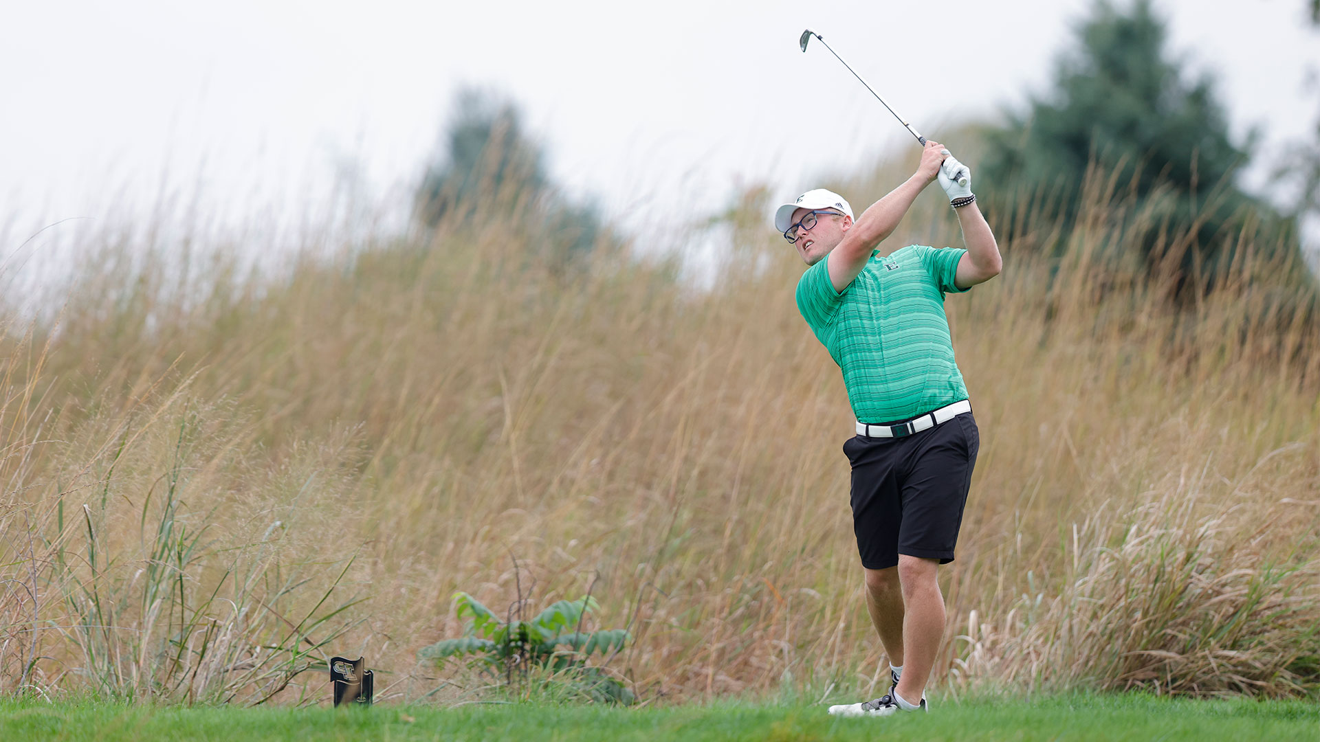 Cougar Collins Men's Golf Eastern Michigan University Athletics