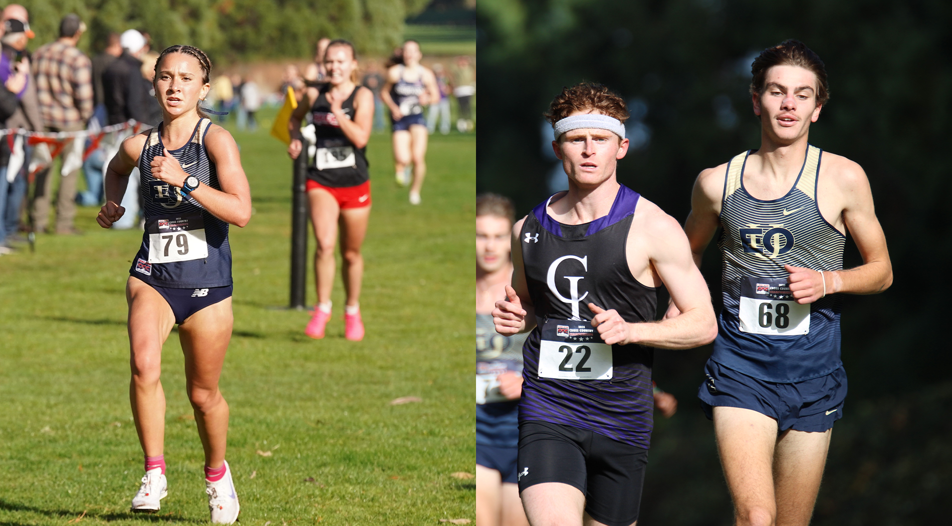 xc naia ticket punched