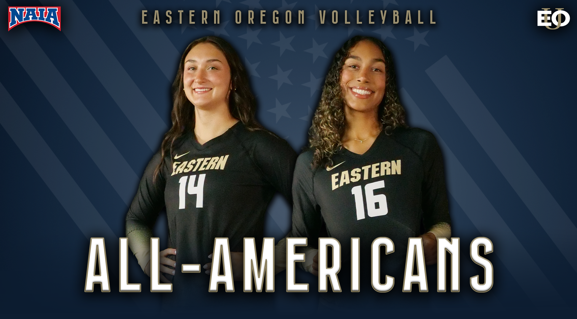 vb naia all-americans 2025