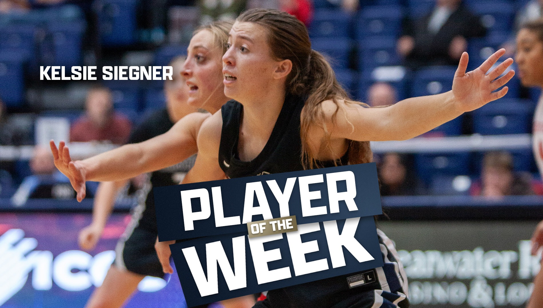 Siegner POTW #2