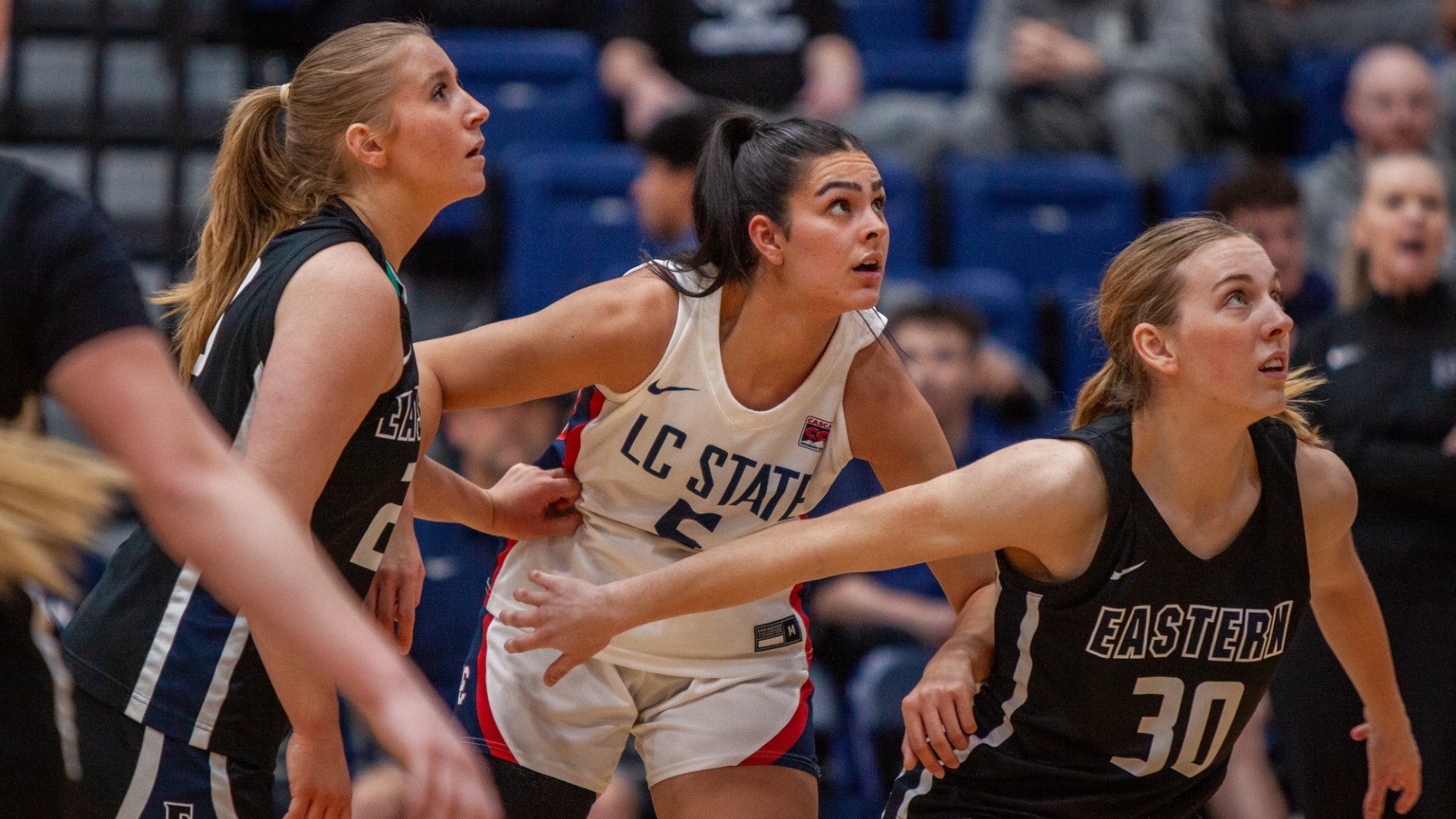 Niemeyer, Johnson v LCSC