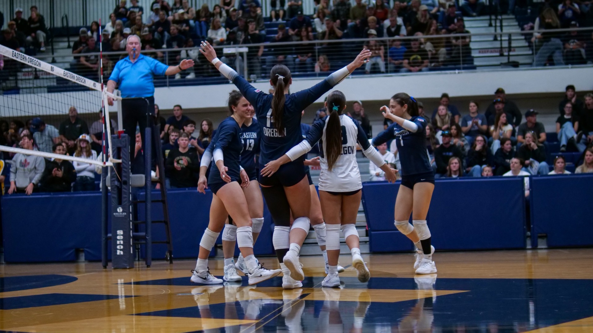 Volleyball celebrates point