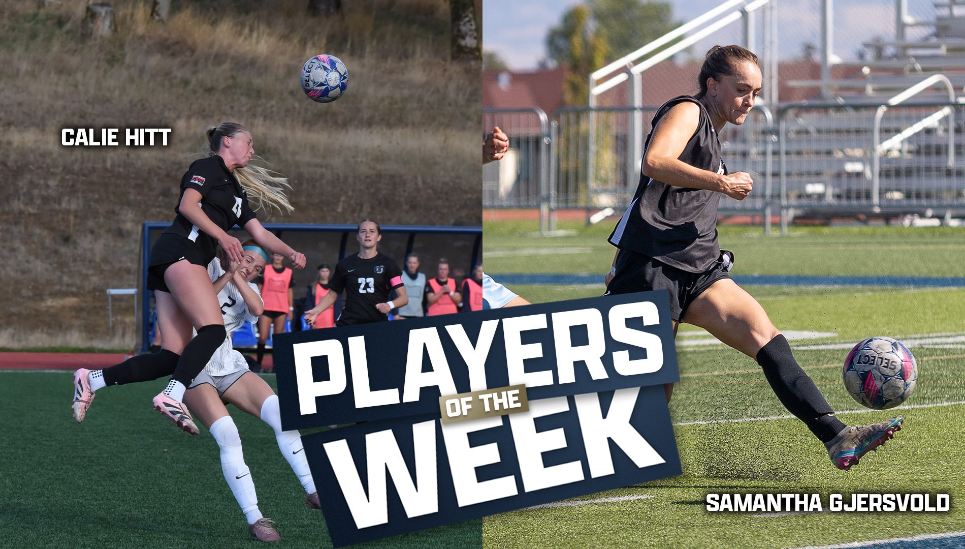 Gjersvold, Hitt Player of the Week
