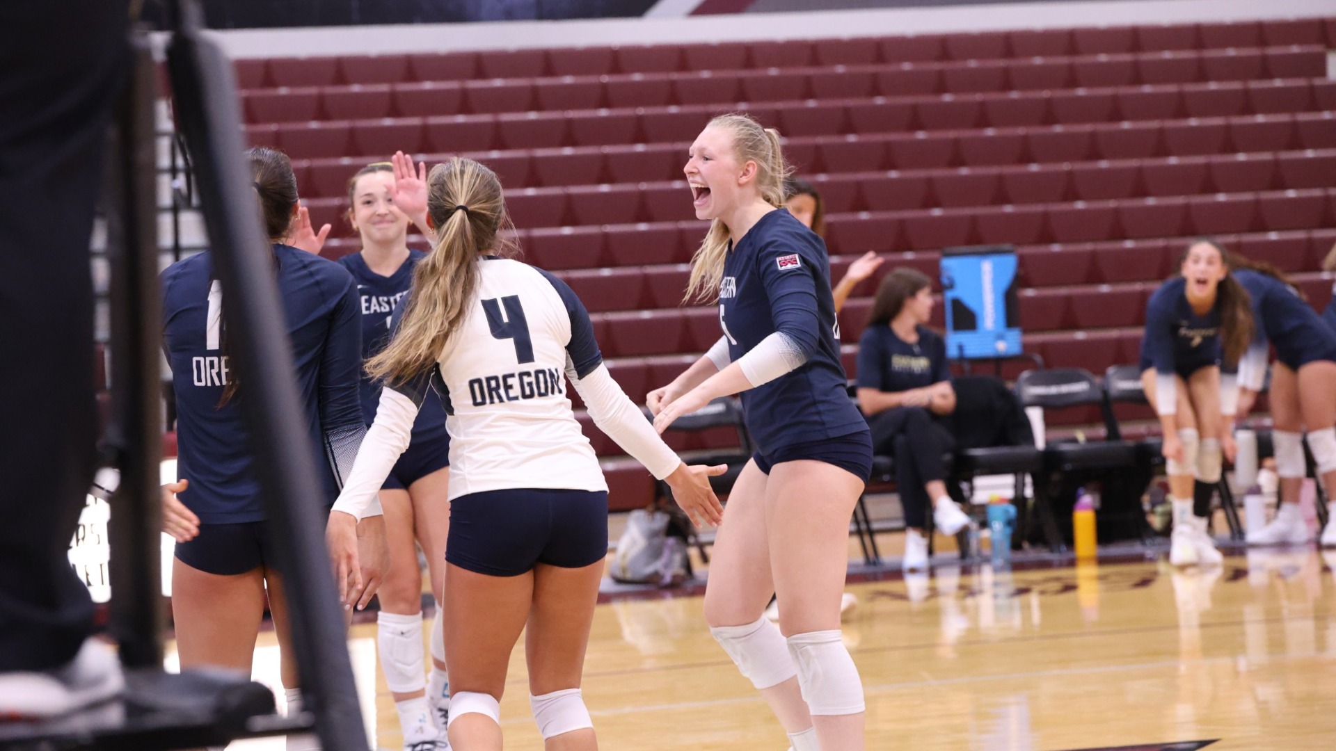 Volleyball v. Fisk University