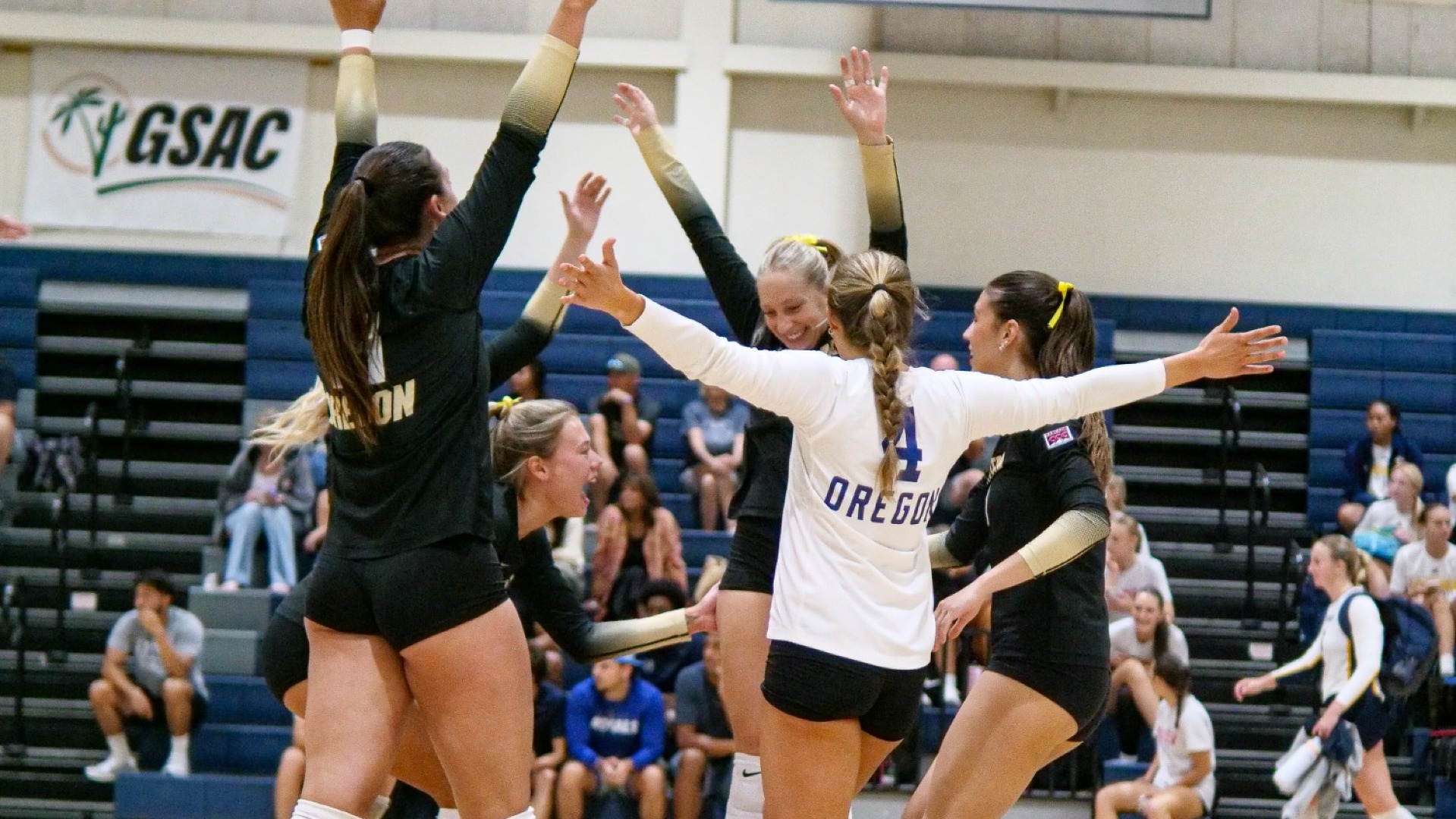 Volleyball celebrating winning point