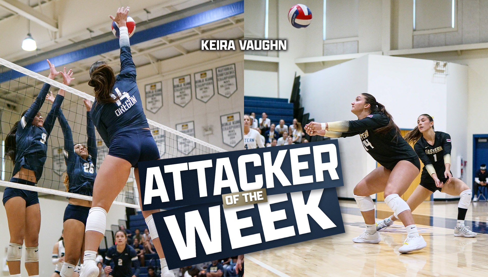 Vaughn, Attacker of the Week 8.24