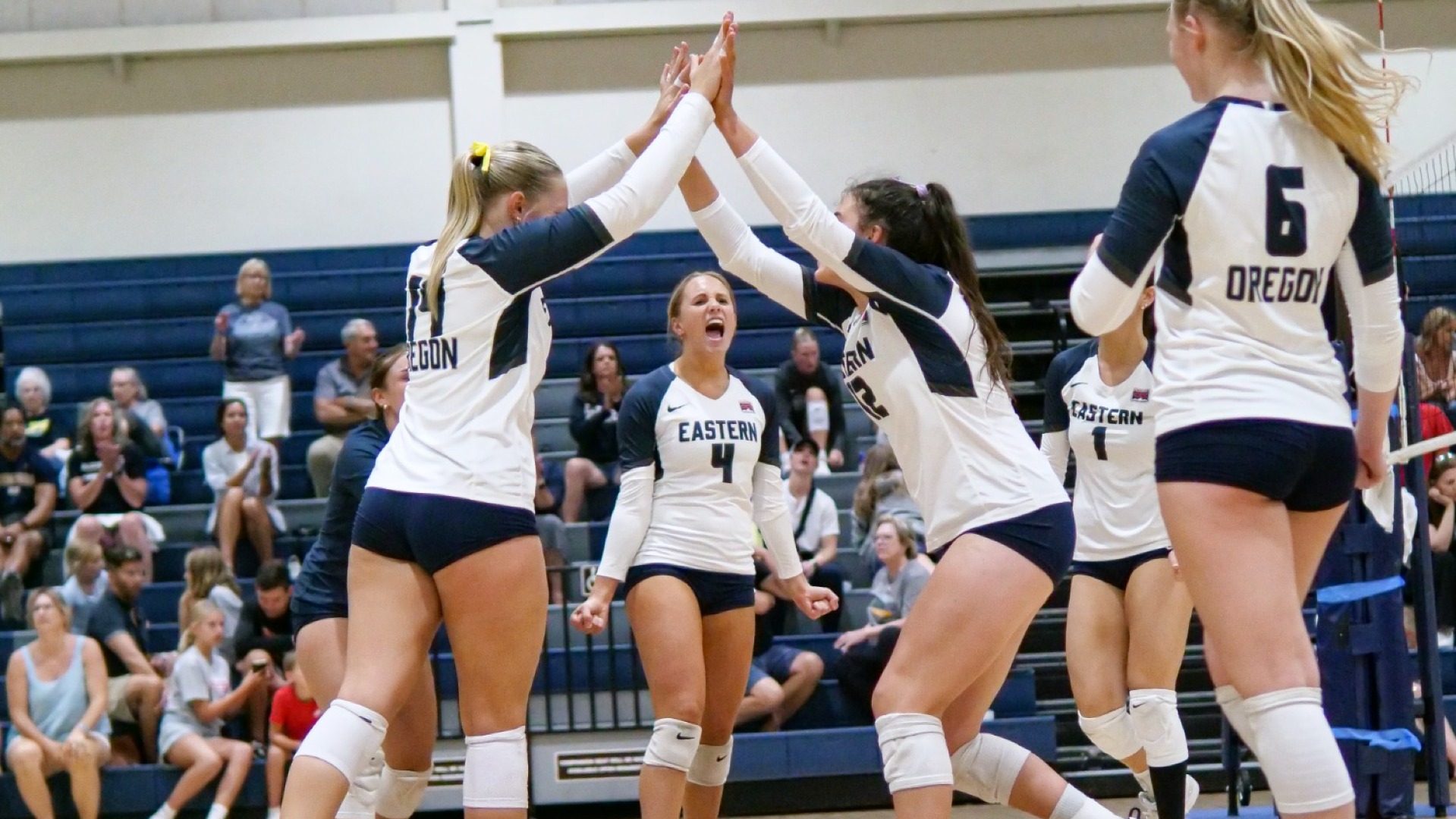Volleyball celebrates point