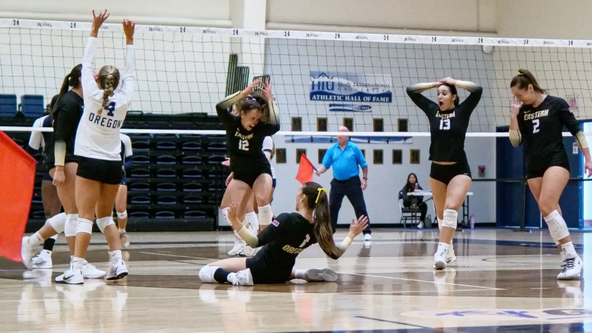 Volleyball celebrating point