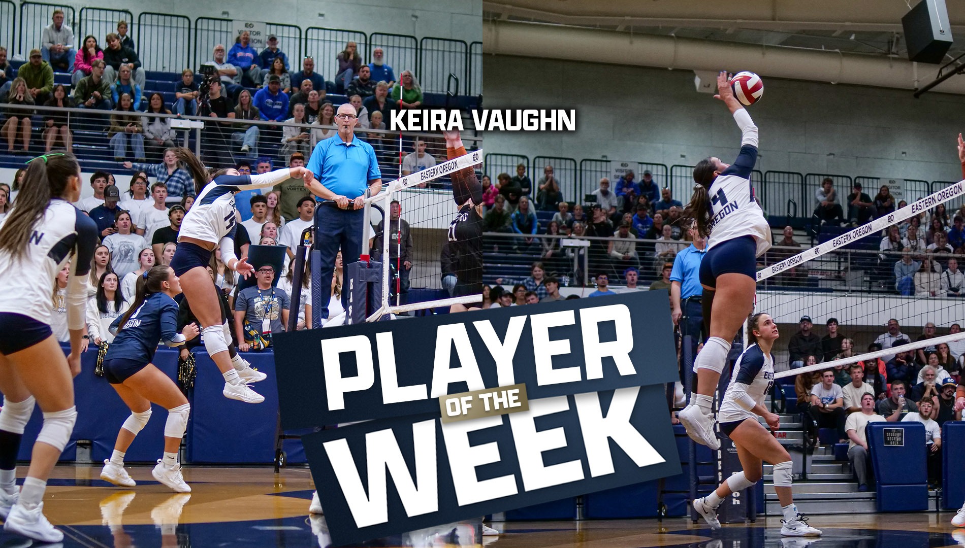 Vaughn Player of the Week 9/28