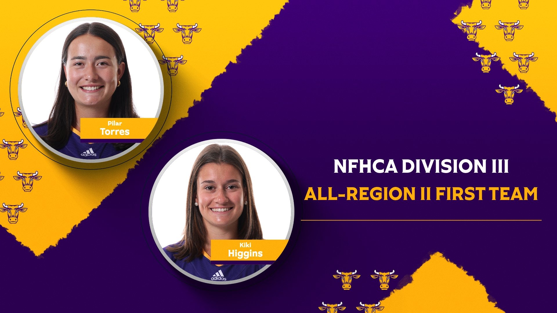 NFHCA All-Region Graphic