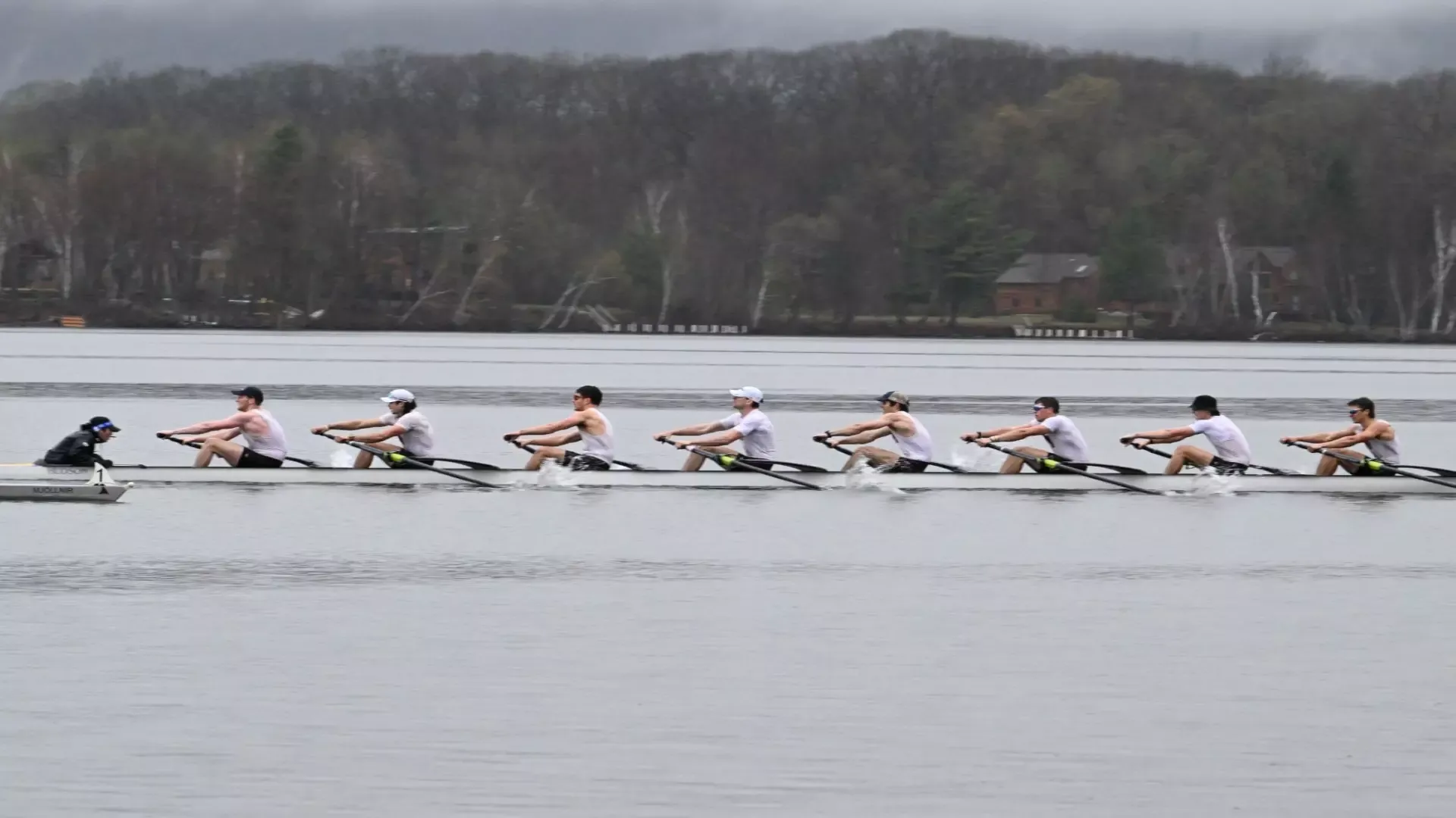 1V Tufts