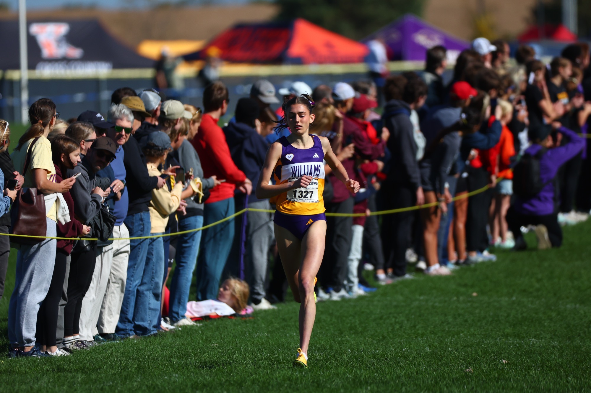 WXC Recap