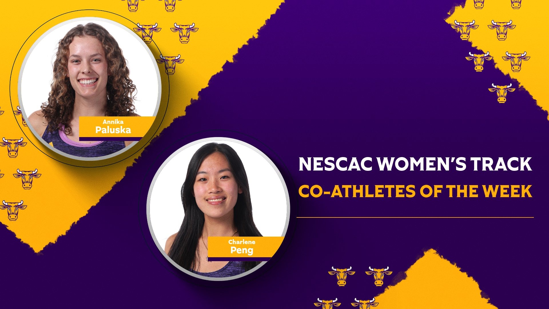 WTrack Graphic 4-14-26