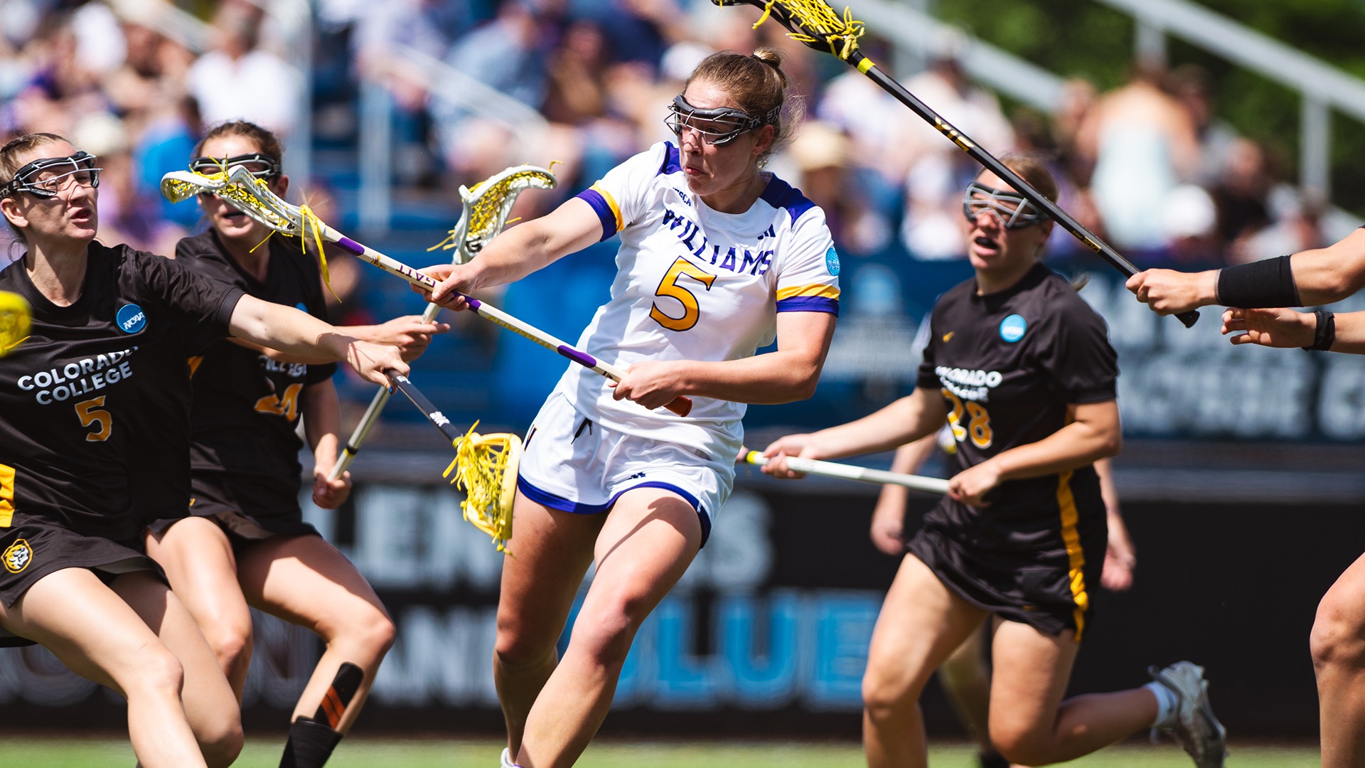 WLAX 5-16-26 Story