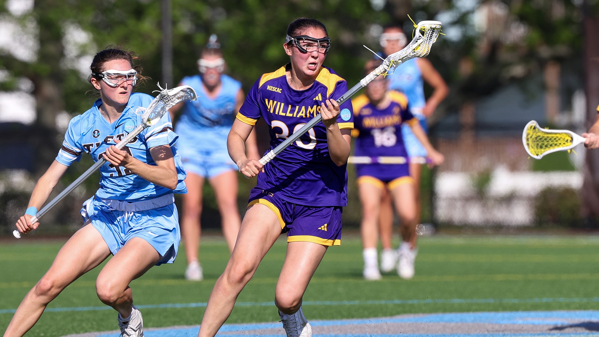 WLAX Story 5-18-2026