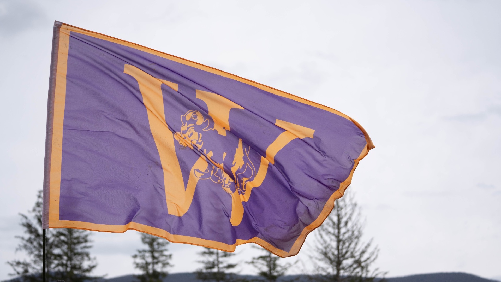 Williams Track Flag